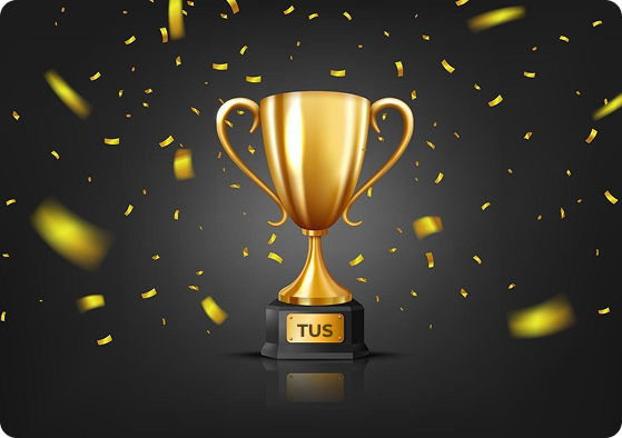 gold partner Excellence